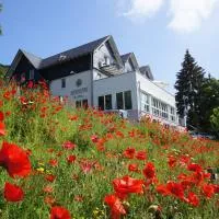 Waldhotel Schinkenwirt, ξενοδοχείο σε Olsberg