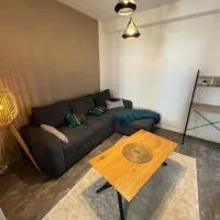 Idole - Appartement Cosy et Lumineux, hotel a Boulieu-lès-Annonay