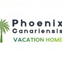 Phoenix Canariensis