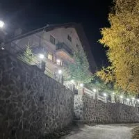 Pensiunea Joe Paltinis, ξενοδοχείο σε Păltiniş