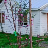 Donde la Euli, hotel perto de Aeroporto Internacional La Araucanía - ZCO, Pitrufquén