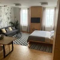 슈르딤에 위치한 호텔 Apartmány Štěpánkova 85