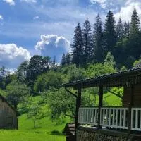 Садиба Тарниця, hotel a Krivorovnya