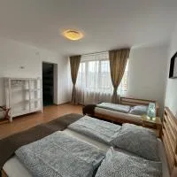 Cassa-Grande โรงแรมในBozovici