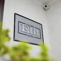 Gallery Elit Hotel, hotel em Dunaivtsi