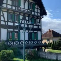 Šabac में, होटल Hotel Konak Tammy Platičevo - Šabac