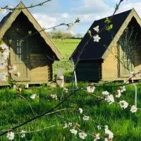 Viesnīca Pensiune Rozalia - Camping pilsētā Criţ