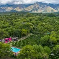 Araoz de Lamadrid Wine Lodge, hotel en San Javier