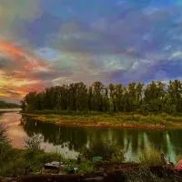 Blue Heron Sanctuary & Serene, river-front cottage, hotel i West Linn