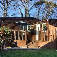 The Chalet In The New Forest - 5 km from Peppa Pig!