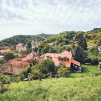 Petershaus - casa de vacanța și distractie., ξενοδοχείο σε Petiş