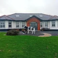Creeghduff Lodge, hotel in Downpatrick