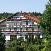 Dwór Bartnika, hotel v mestu Narewka