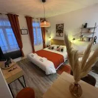 생토메르에 위치한 호텔 Studio du soleil