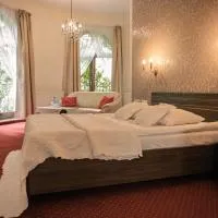 Hotel Korona, hotel u gradu Ribnik