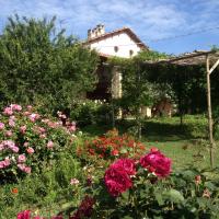 a garden with flowers in front of a house at Casa Isabella, Vaglio Serra