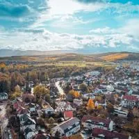 La FORGE Appartement chaleureux et Grands espaces, hotel u gradu 'Molsheim'
