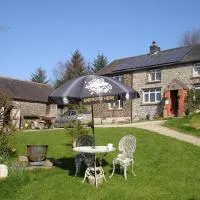 Five Saints Farmhouse B&B, hotel em Pumpsaint