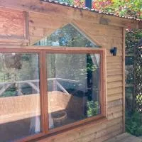 Honey Bee Cabin, hotel di Llandysul