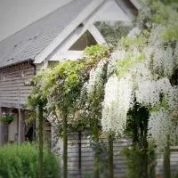 Acorn Barn, hotel v mestu Crediton