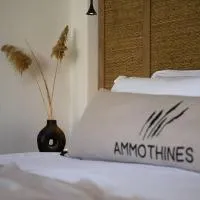 Ammothines Beach Suites, hotel v destinaci Chrysi Ammoudia