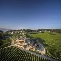 Monverde - Wine Experience Hotel - by Unlock Hotels, hotel v destinaci Amarante