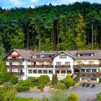 Gasthof-Hotel Lärmfeuer, hotel i Rohrbach