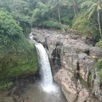 Neny's Homestay, hotel a Saba