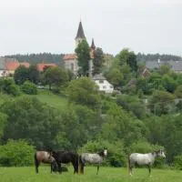 Čestín में, होटल Hostinec u Janatů s ubytováním