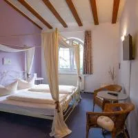 Hotel Schlosshof Dolgesheim, отель в городе Dolgesheim