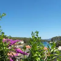 Guest House Roza، فندق في فربوسكا
