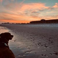 Sea Vista Motel, hotel di Topsail Beach