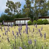 Cabañas Lovel-Van, hotell sihtkohas Curanipe