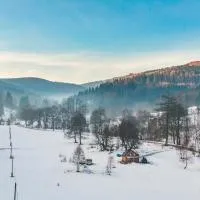 Viesnīca Drewniany domek pod masywem Śnieżnika pilsētā Nowa Morawa