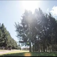 Chacra Los Arándanos, hotell sihtkohas Durazno