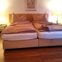 il fiore Hotel Steinach SG, hotel u gradu 'Steinach'