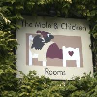 The Mole and Chicken、テームのホテル
