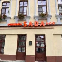 Pensiunea SADA, hotel v mestu Făgăraş