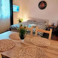 Studio apartman Buteo、ヤストレバースコのホテル