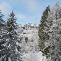 Landhotel Fernsicht, hotel in Ortsmitte, Winterberg