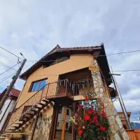 Pensiunea Sălaș, hotelli kohteessa Sălaşu de Sus