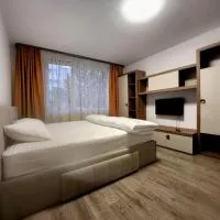 Apartament cu 1 camera ultracentral, hotel sa Baia Mare