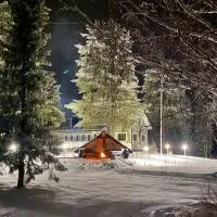 Chalet Mummola, Hotel in Naamijoki
