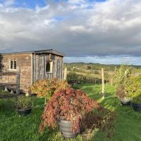 Luxury Shepherd's Hut Style Cabin With Views