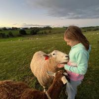 Jilly Park Farm Hands-On Experience Discover Authentic Farm Life Complimentary Breakfast Included