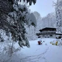 Chalet dans les arbres. 3 ch. /trees house 3bdr، فندق في Lac Sainte-Marie