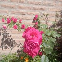 Dpto BBB, hotel near Zapala Airport - APZ, Zapala