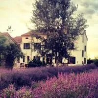 Agriturismo Viridarium, hotel u gradu 'Castellucchio'