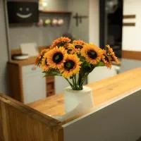 Apartament 33 Skawina、スカビナのホテル