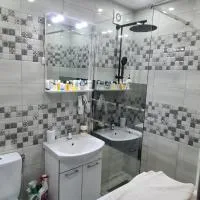 Garsoniera in regim hotelier "Raul", hôtel à Petroşani